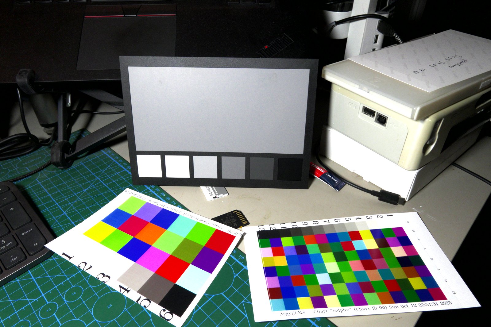 Two ArgyllCMS charts side by side with the sublimation printer visible